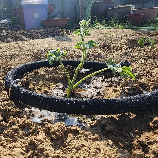 Alt view image 7 of 7 - Atlantic Short Soaker Hose 1/2 IN.x10 FT, Solid Brass Connectors with Food Grade Coating, Keep Your Plants Healthy