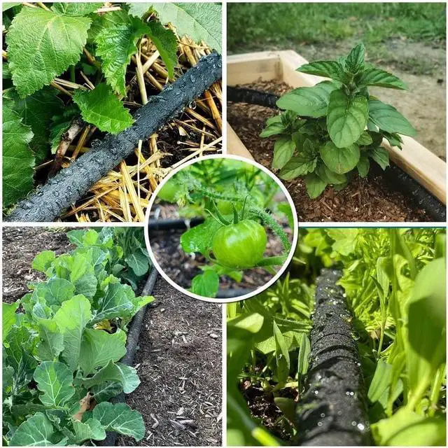 Alt view image 6 of 7 - Soaker Hose with Connector 5/8in Diameter 25FT 50FT Black Garden Water Hose Flower Bed and Lawn Lightweight Hose (50FT)