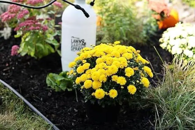 Alt view image 7 of 7 - Flo-Master by Hudson 2 Gallon Lawn & Garden Sprayer