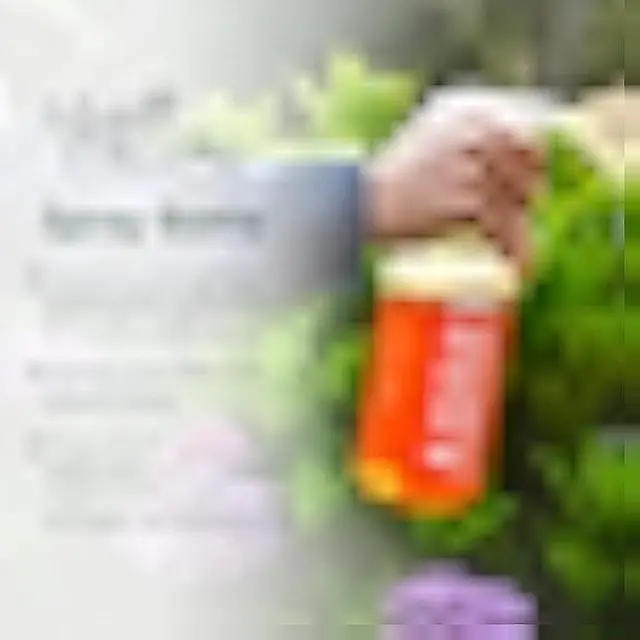 Alt view image 2 of 5 - Arber 32 oz Translucent Spray Bottle with Adjustable Nozzle  Easy-to-Use Plant Hydration Tool for Gardening and Indoor Plants