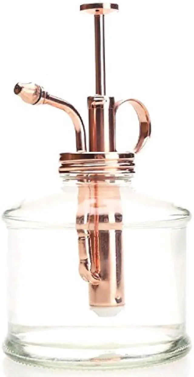 Alt view image 5 of 5 - Plant Mister- Glass Bottle & Brass Sprayer (Clear & Rose Gold)