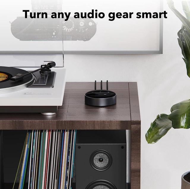 WiiM Mini Spotify/AirPlay2 WiFi Wireless Hi-Res Music Streamer, Multiroom  Stereo, Preamplifier, Compatible with Alexa and Siri Voice Assistants,  Stream Hi-Res Audio from Spotify : : Electronics