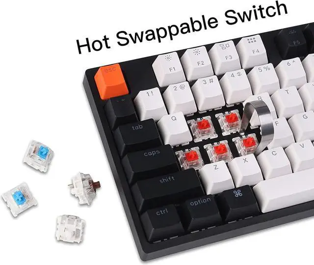 Alt view image 4 of 7 - Keychron C2 Full Size Wired Mechanical Keyboard for Mac, Hot-swappable, Gateron Red Switch, White Backlight, 104 Keys Double Shot ABS keycaps Gaming Keyboard for Windows,Type-C Braid Cable