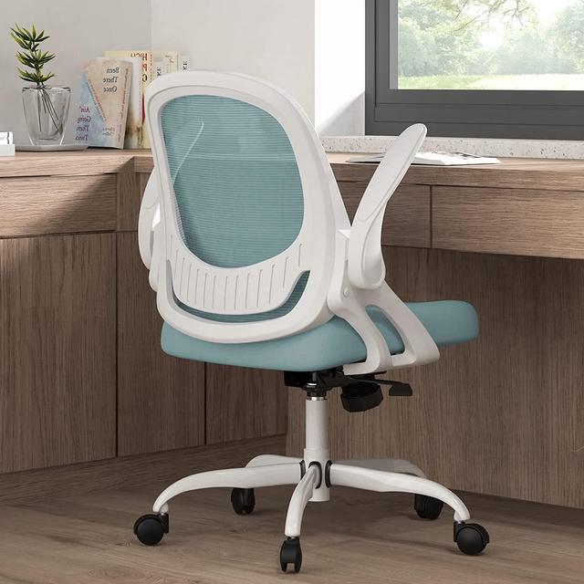 Ergonomic Office Chair, Breathable Mesh Desk Chair, Lumbar Support Computer  Chair with Wheels and Flip-up Arms, Swivel Task Chair, Adjustable Height  Home Gaming Chair