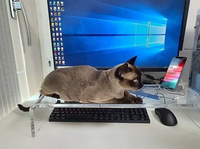Alt view image 5 of 7 - Acrylic Monitor Stand Riser Crystal Clear Monitor Riser, 21 inch large Anti Cat keyboard cover keyboard cat protector, Computer Stand Riser with Keyboard Storage and Laptop Desk Stand