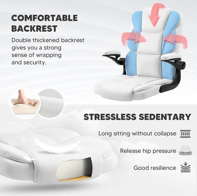 SEATZONE Modern Office Chair for Back Pain Relief, Lumbar Support
