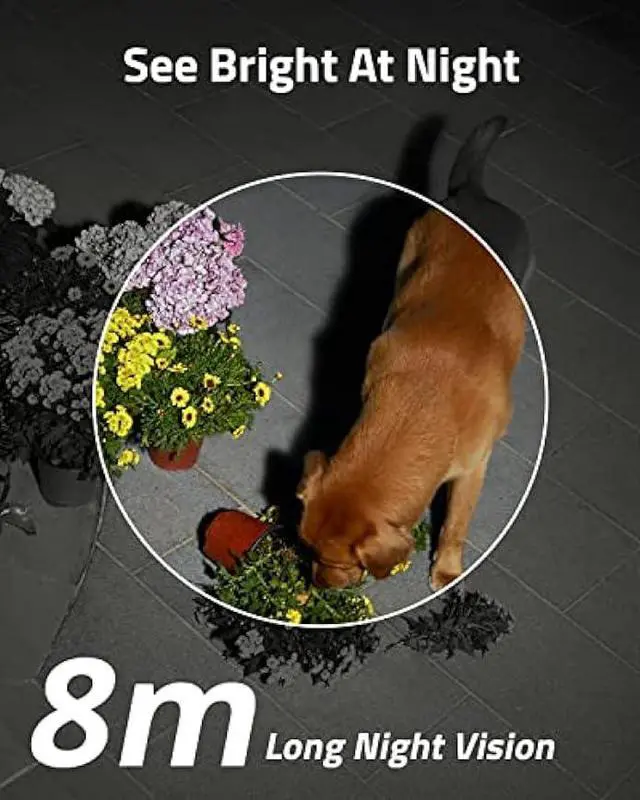 Alt view image 5 of 6 - eufy Security Outdoor SoloCam S230(S40), Solar Security Camera, Wireless Outdoor Camera, Battery Camera, Integrated Solar Panel, Spotlight Camera, 2K, 2.4 GHz Wi-Fi, No Monthly Fee, Motion Only Alert