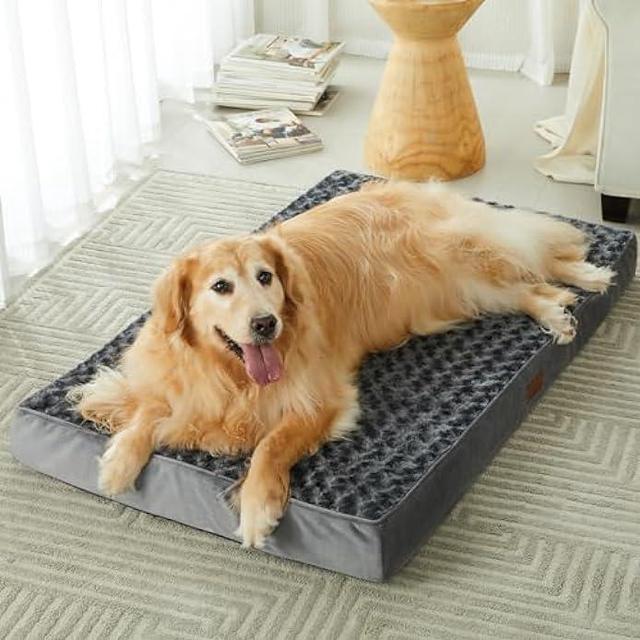 Small Dog Bed, Orthopedic Egg Crate Foam Dog Bed with Removable Washable Cover, Waterproof Dog Mattress Nonskid Bottom, Comfy Anti Anxiety Pet Bed Mat