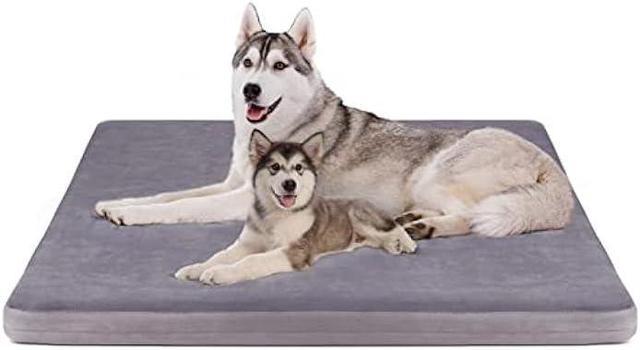 Dog sleeping mattress hotsell