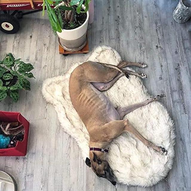 Alt view image 4 of 7 - PAW Brands Puprug Faux Fur Memory Foam Orthopedic Dog Bed, Premium Memory Foam Base, Ultra-Soft Faux Fur Cover, Modern and Attractive Design (Large/Extra Large - 50 L X 30 W, White Curve)