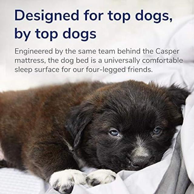 Alt view image 5 of 5 - Casper Dog Bed, Plush Memory Foam, Large, Blue, 35.0L x 45.0W x 7.0Th