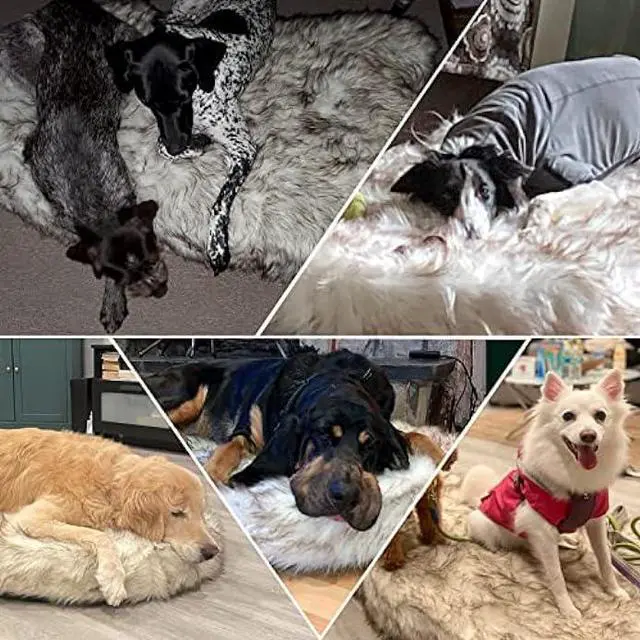 Alt view image 5 of 6 - Laifug Luxury Faux Fur Dog Bed5-inch Thick Grade Ultra Soft Orthopedic Memory Foam Dog Bed with Faux Fur Cover, Plush Pup Rug with Removable CoverWaterproof LinerGray-BrownWhite