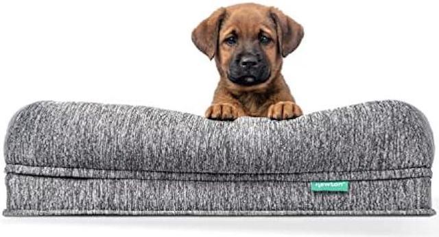 Large durable hotsell dog bed