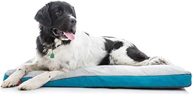 Brindle Shredded Memory Foam Dog Bed with Removable Washable Cover-Plush  Orthopedic Pet Bed - 46 x 28 inches - Teal