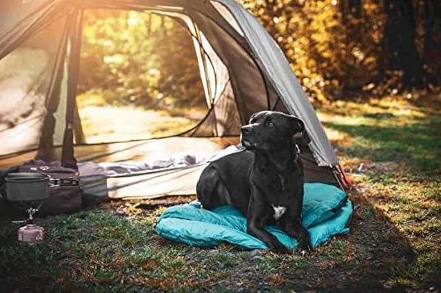 Alt view image 6 of 6 - Happy Trails PNW 11 oz Ultralight Dog Sleeping Bag BackpackingOutdoor Dog Bed for HikingBackpacking Gear for DogsDog Hiking GearDog Camping GearPackable Sleeping Bag for DogsDog Travel Bed