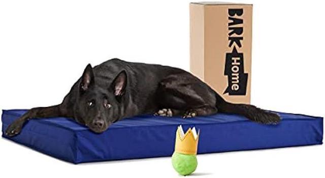 Waterproof dog bed with removable clearance cover