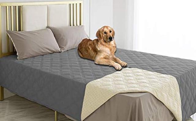 Waterproof dog hotsell bed protector