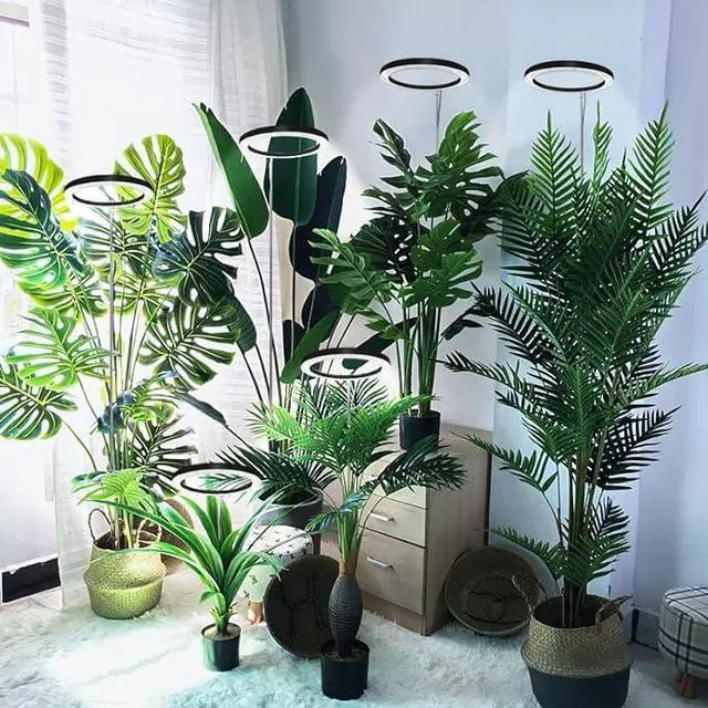 Alt view image 7 of 7 - 10 LED Ring Grow Lights for Indoor Plants, 160LEDs 6000K Full Spectrum Large Plant Light for Indoor Plants, Height Adjustable Growing Lamp with Auto On/Off Timer 3/9/12H, 9 Dimmable Brightness