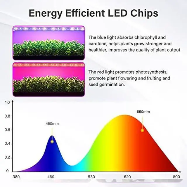 Alt view image 5 of 6 - iPower 60W LED Plant Grow Light Strips Full Spectrum for Indoor Plants with Auto ON/Off 3/9/12H Timer, 10 Dimmable Levels 48 LEDs, Sunlike Grow Lamp for Hydroponics Succulent, 4 Tubes, Red&Blue