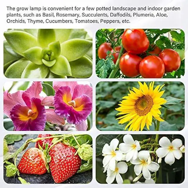 Alt view image 6 of 6 - iPower 60W LED Plant Grow Light Strips Full Spectrum for Indoor Plants with Auto ON/Off 3/9/12H Timer, 10 Dimmable Levels 48 LEDs, Sunlike Grow Lamp for Hydroponics Succulent, 4 Tubes, Red&Blue