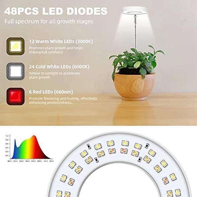 Alt view image 5 of 6 - Kullsinss Grow Lights for Indoor Plants, Full Spectrum Halo Growing lamp with Detachable Base, Height Adjustable, 3 Colors, 10 Dimming, Automatic Timer, Plant Light for Small Plants Growing, 2-Pack