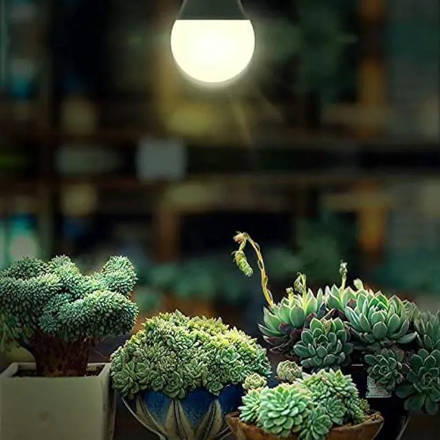 Alt view image 7 of 7 - Grow Light Bulbs, WEEGrow LED Grow Light Bulb A19 Bulb, Full Spectrum Grow Light Bulb, Plant Light Bulb E26 Base, 11W Grow Bulb 100W Equivalent, Grow Light for Indoor Plant, Seed Starting, Veg, 6 Pack