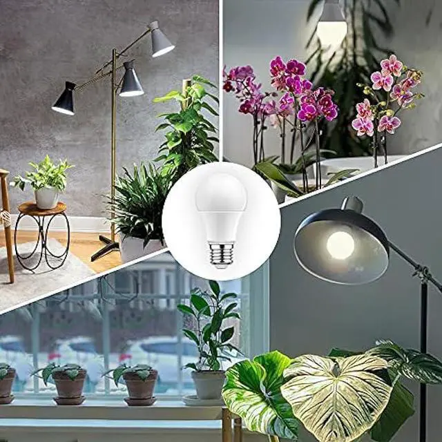 Alt view image 6 of 7 - Grow Light Bulbs, WEEGrow LED Grow Light Bulb A19 Bulb, Full Spectrum Grow Light Bulb, Plant Light Bulb E26 Base, 11W Grow Bulb 100W Equivalent, Grow Light for Indoor Plant, Seed Starting, Veg, 6 Pack