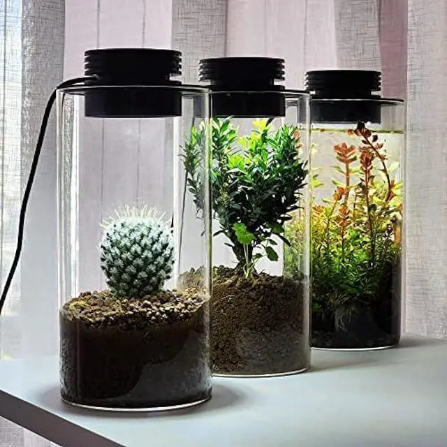 Alt view image 2 of 6 - Desktop Glass Terrarium with Grow Light (H:7.8 D:4), for Succulent, Moss, Miniature Gardening Landscape, Betta Fish Tank, Indoor Plant Growth, Office Home Decoration, Plant Lovers Gifts