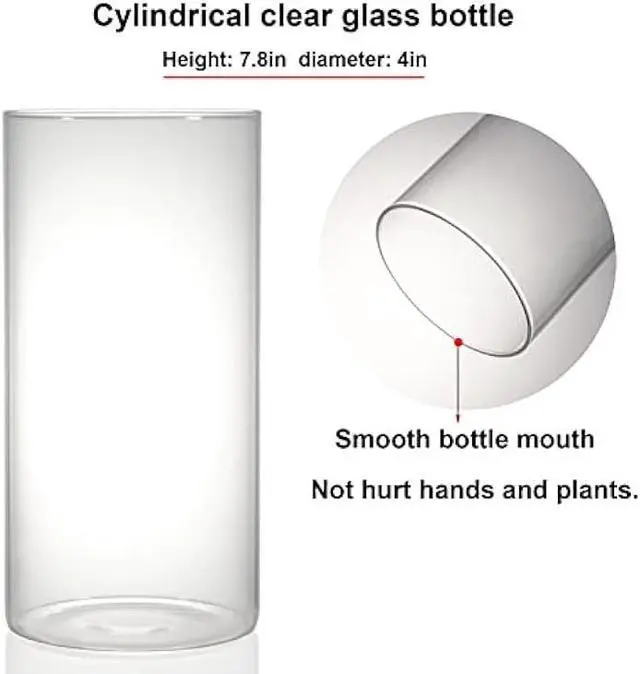 Alt view image 4 of 6 - Desktop Glass Terrarium with Grow Light (H:7.8 D:4), for Succulent, Moss, Miniature Gardening Landscape, Betta Fish Tank, Indoor Plant Growth, Office Home Decoration, Plant Lovers Gifts