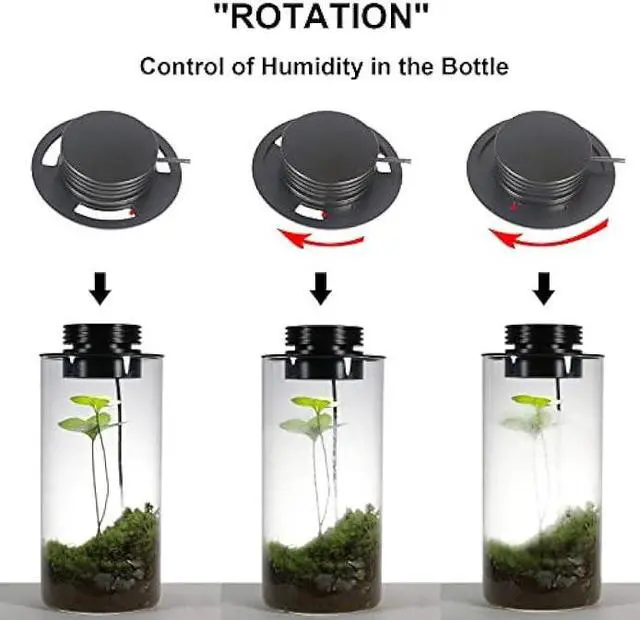 Alt view image 5 of 6 - Desktop Glass Terrarium with Grow Light (H:7.8 D:4), for Succulent, Moss, Miniature Gardening Landscape, Betta Fish Tank, Indoor Plant Growth, Office Home Decoration, Plant Lovers Gifts