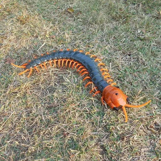 Alt view image 4 of 6 - Tipmant Simulation RC Centipede Scolopendra Realistic Remote Control Vehicle Car Animal Insect Large Size Electric Prank Toy Kids Christmas Birthday Gifts (Navy Green)