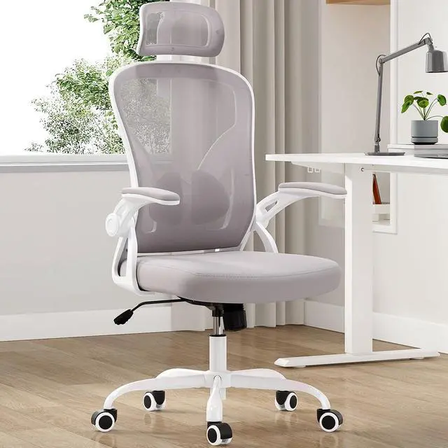 Main image of Farini Ergonomic Office Chair, Home Office Desk Chair with Headrest, High Back Computer Chair with Flip-up Armrests and Adjustable Lumbar Support.for Home Office Study Room Bedroom, Gray.