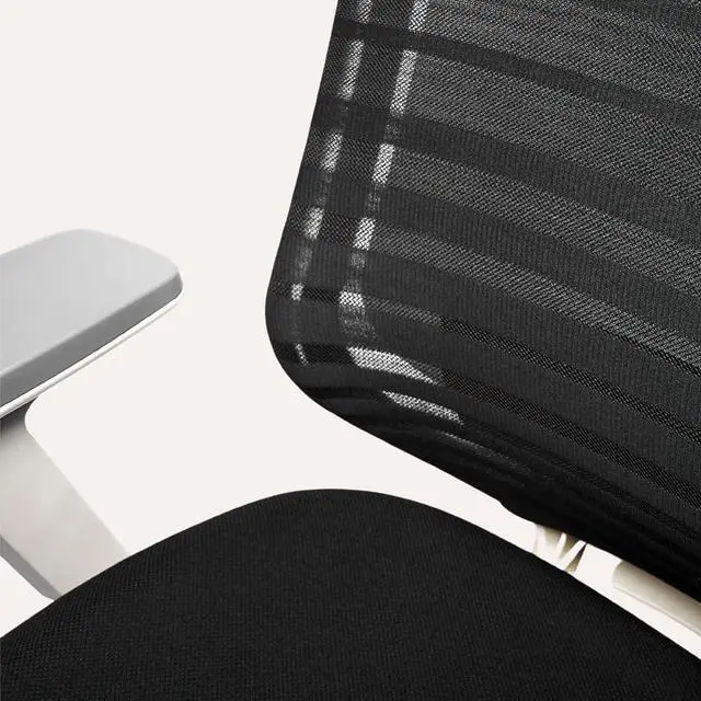 Alt view image 7 of 7 - Branch Ergonomic Chair - A Versatile Desk Chair with Adjustable Lumbar Support, Breathable Mesh Backrest, and Smooth Wheels - Experience Optimal Comfort and Support - Baltic