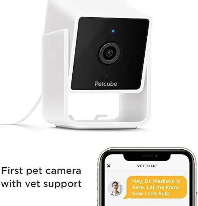 Alt view image 4 of 6 - Petcube Pack of 2 Cam Indoor Wi-Fi Pet and Security Camera with Phone App, Pet Monitor with 2-Way Audio and Video, Night Vision, 1080p HD Video and Smart Alerts for Ultimate Home Security (2 Pack)