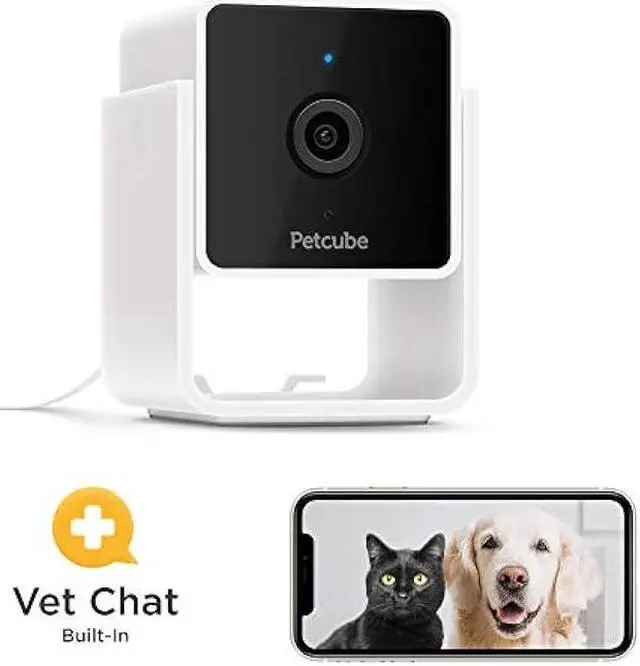 Alt view image 6 of 6 - Petcube Pack of 2 Cam Indoor Wi-Fi Pet and Security Camera with Phone App, Pet Monitor with 2-Way Audio and Video, Night Vision, 1080p HD Video and Smart Alerts for Ultimate Home Security (2 Pack)
