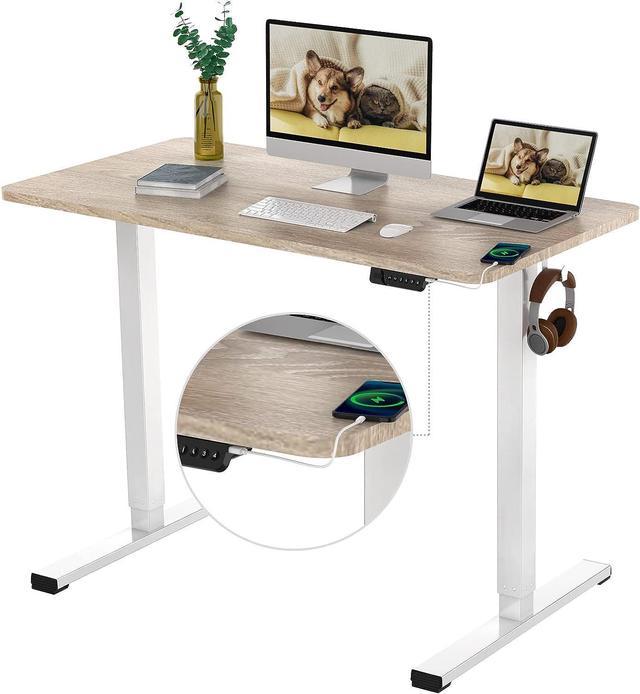 FLEXISPOT Electric Standing Desk Whole Piece 48 x 30