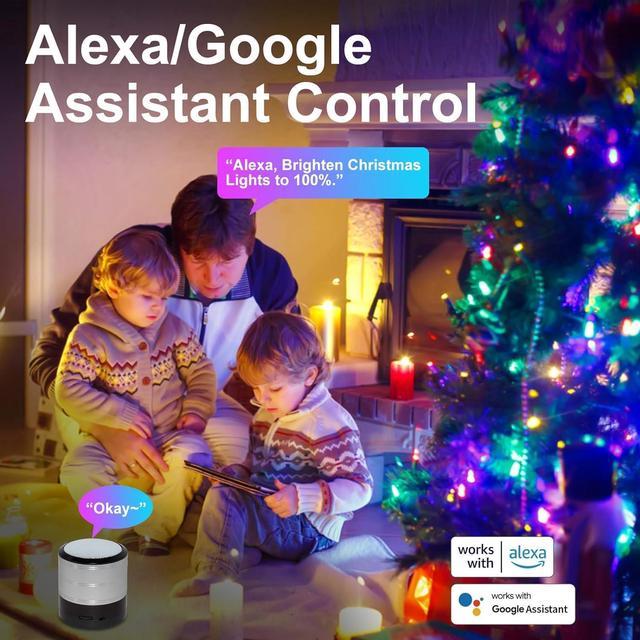 Black Friday Week: Control your indoor Christmas lights with this smart  plug - now £12.99