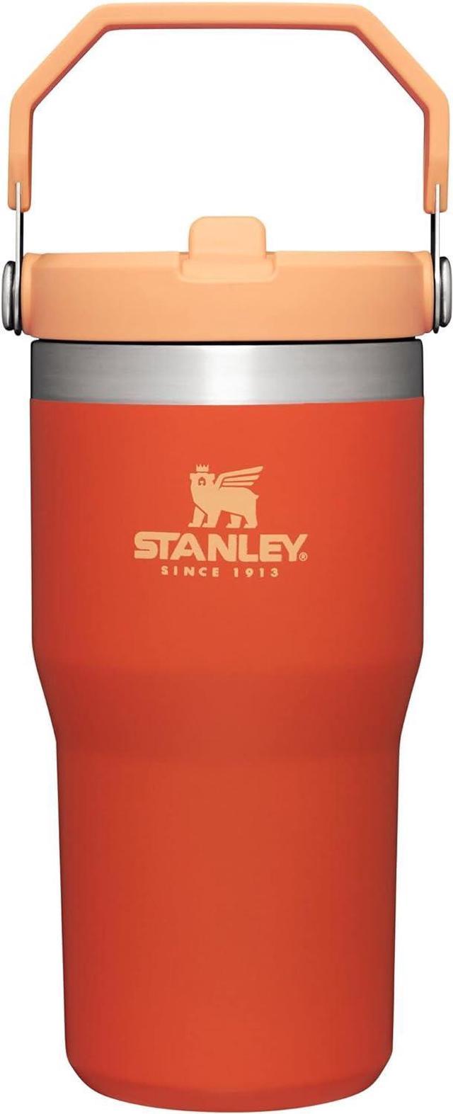 Stanley IceFlow Stainless Steel Tumbler with Straw Vacuum Insulated Water  Bottle