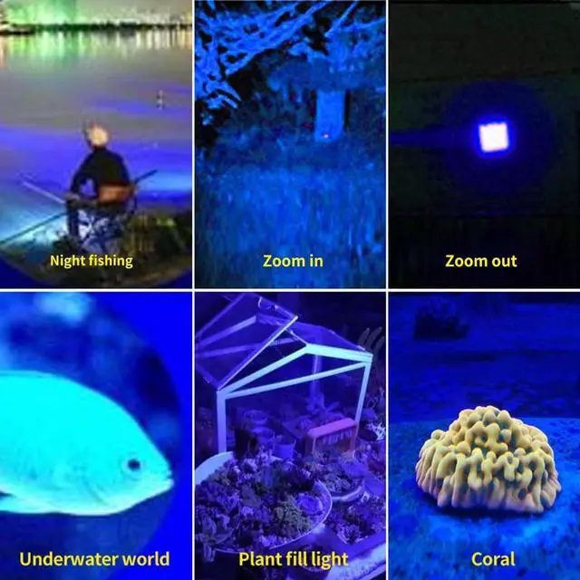 Alt view image 3 of 7 - Rechargeable Multi Function Flashlights 4 Color Light, Black Light UV Flashlights, Blood Tracking Light for Observation.LED UV Black Light and Blue Light and White Light and Yellow LightsScorpion.