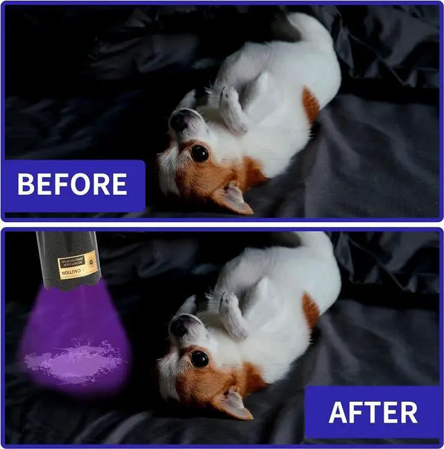 Alt view image 5 of 7 - UV Flashlight Black Light- 365nm 395nm Ultraviolet Flashlights Handheld Blacklight Torch Woods Lamp for Pet Urine Stains Detection Rocks & Minerals Glue Curing Scorpions Finder and Uranium Glass