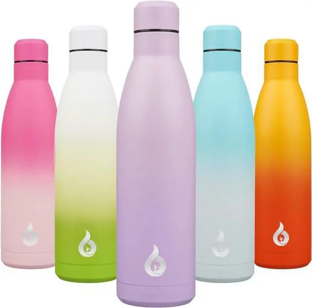 Main image of BJPKPK 25oz Insulated Stainless Steel Water Bottles Reusable Metal Travel Sports Water Bottle Keep Cold and Hot,Dreamy Purple