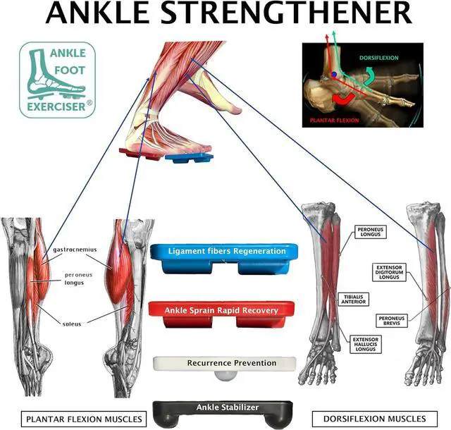 Alt view image 3 of 7 - Ankle Foot Exerciser® Ankle Strengthener for ankle sprain relief, Foot Strengthener for plantar fasciitis; Ankle mobility, Posture corrector, Pilates board for home