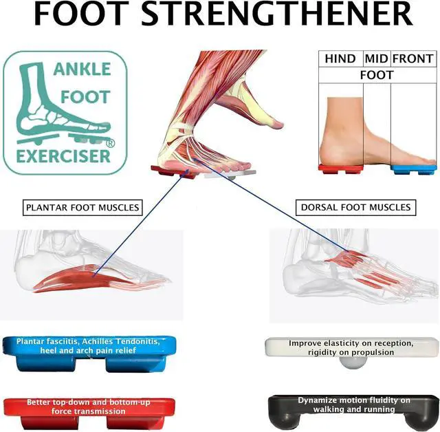 Alt view image 4 of 7 - Ankle Foot Exerciser® Ankle Strengthener for ankle sprain relief, Foot Strengthener for plantar fasciitis; Ankle mobility, Posture corrector, Pilates board for home