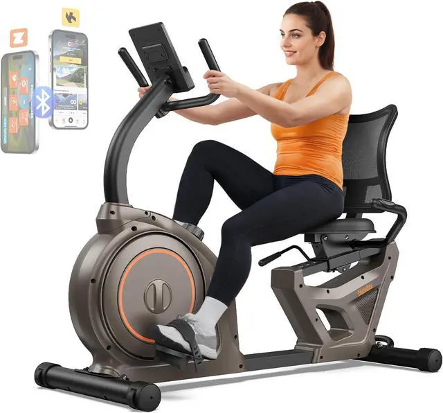 Main image of Niceday Recumbent Exercise Bike, Recumbent Bike for Home, Recumbent Stationary Bike 400LBS Weight Capacity, Magnetic Recumbent Bike with Smart APP, LCD Monitor, Heart Rate Handle