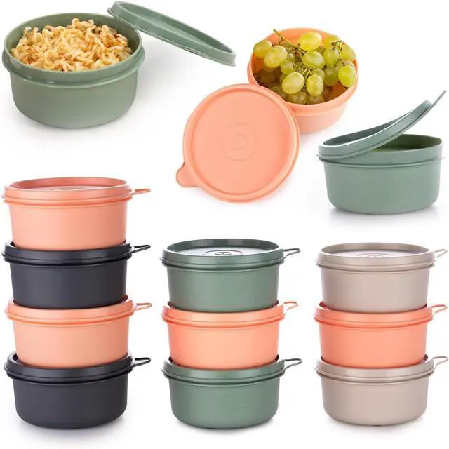 Main image of 9 oz Small Round Food Storage Containers with Lids Set of 10, Airtight Leakproof Reusable, Plastic To Go Bento Box, Mini Lunch Box, Snack Storage Bowl, for Kitchen, Picnic (10)