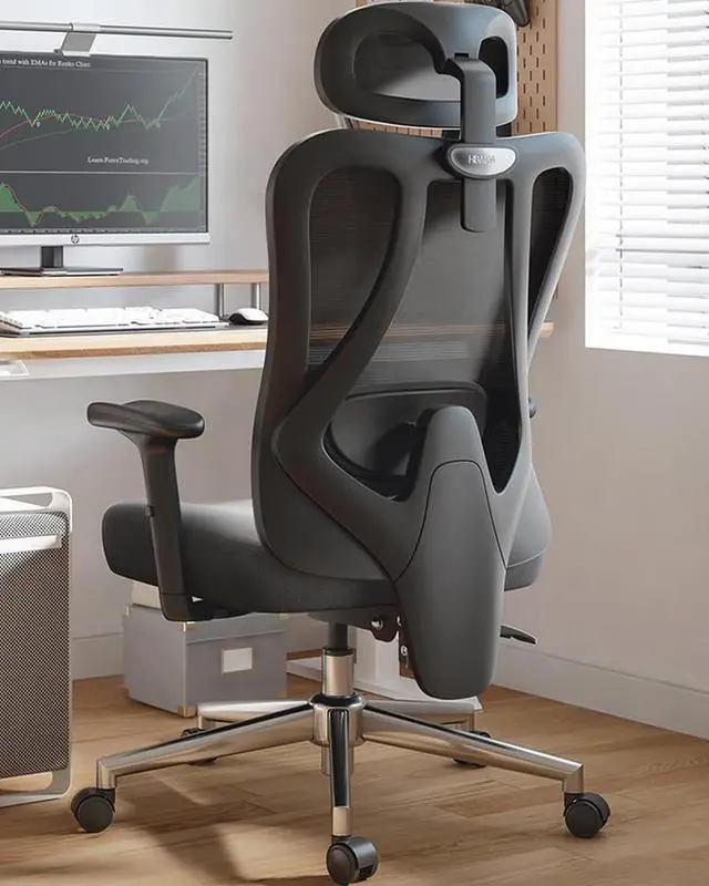 Main image of Hbada P3 Ergonnomic Office Chair with 2D Adjustable Lumbar Support, Office Chair with Adjustable Headrest and Armrest, 145° Stepless Tilt Function, Black(No Footrest)