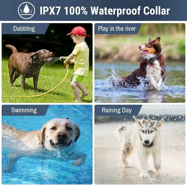 Alt view image 4 of 6 - 2Pcs Dog Shock Training Collar Rechargeable with LCD Remote Waterproof 330 Yards