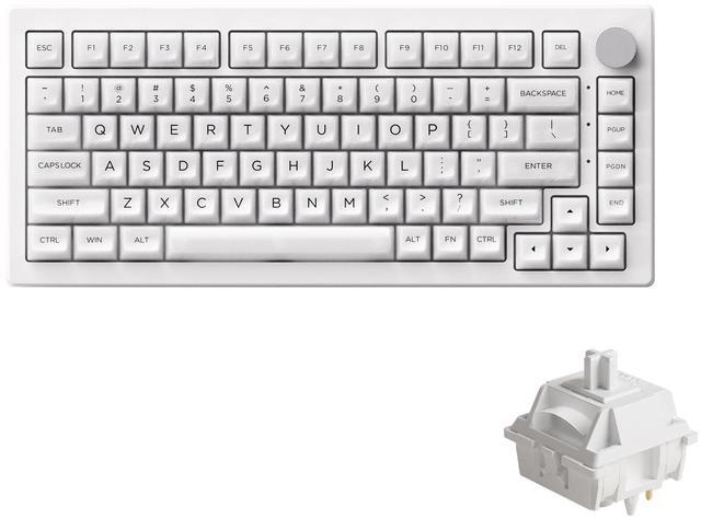 Main image of Akko 5075B Plus Shine-Through Mechanical Keyboard 75% RGB Hot-swappable Clear Transparent Gaming Keyboard with Knob, White Keyboard with PC ASA Profile Keycaps V3 Piano Pro