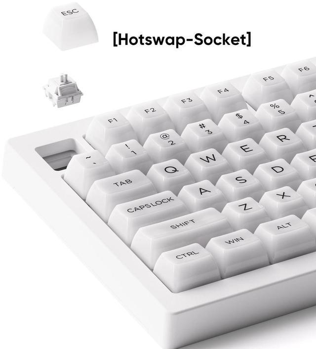 Alt view image 5 of 7 - Akko 5075B Plus Shine-Through Mechanical Keyboard 75% RGB Hot-swappable Clear Transparent Gaming Keyboard with Knob, White Keyboard with PC ASA Profile Keycaps V3 Piano Pro