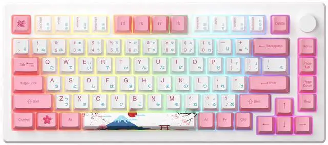 Main image of Akko Magnetic Switches Rapid Trigger Gaming Keyboard, MOD007B HE PC World Tour Tokyo Wired/Wireless 75% 8k Polling Rate Mechanical Keyboard with Knob, RGB Backlit (Kailh Sakura Pink Magnetic Switch)